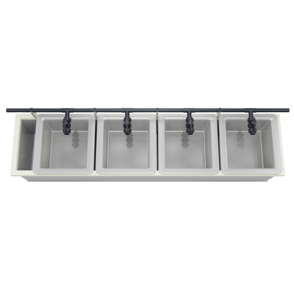 Crawfish Hatchery - 4 Boxes