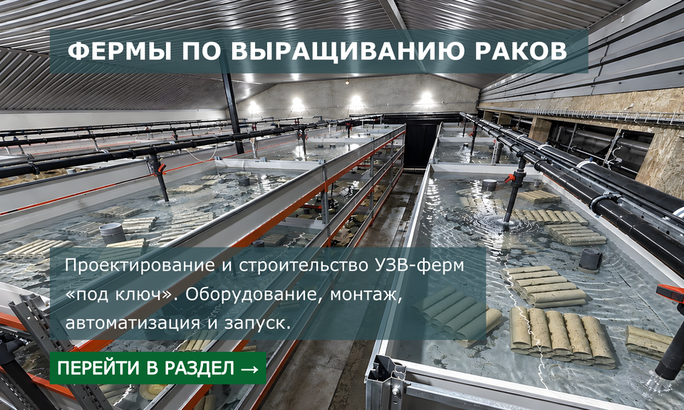 Фермы по разведению раков