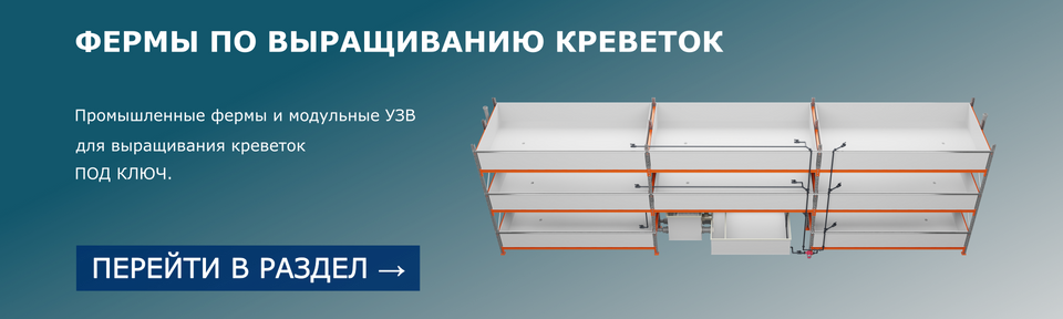 Фермы по выращиванию креветок