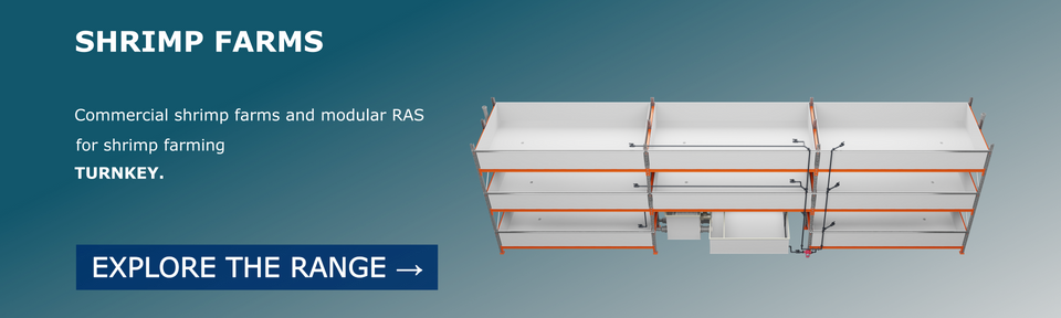 Shrimp Farms & RAS Solutions
