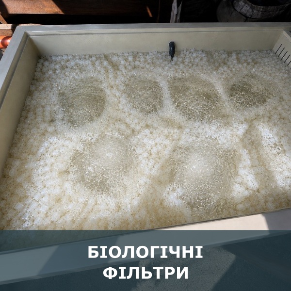 Біологічні фільтри