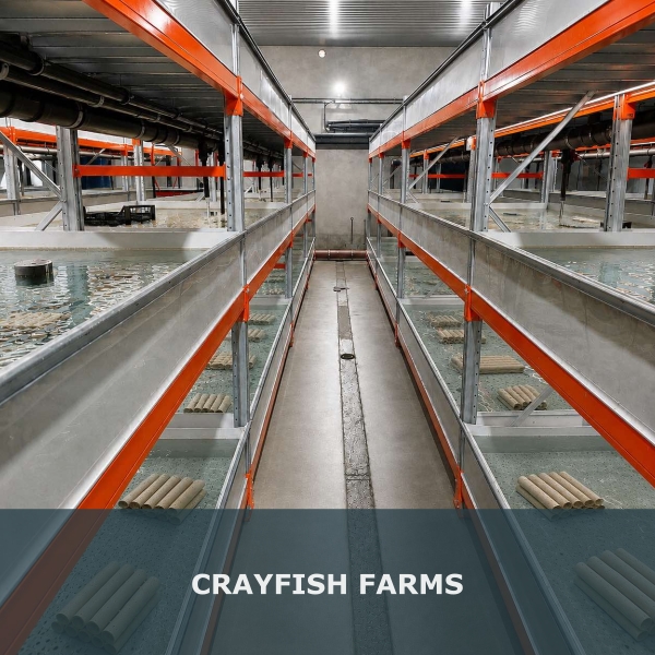 Crayfish farms
