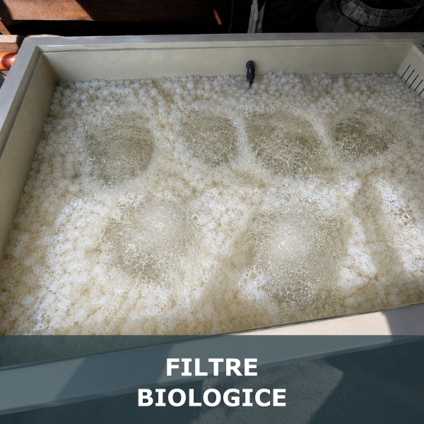 Filtre biologice